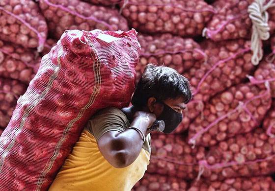පෞද්ගලික තොඟ ගබඩාවලින් සැඟවූ ලොකු ළූණු තොග මතුවෙයි!