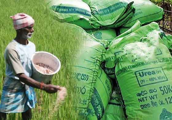 රජයේ පොහොර සමාගම් දෙක මි.480ක ශුද්ධ ලාභයක් උපයයි!