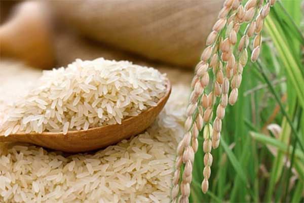 කීරි සම්බා ආනයනයට පෞද්ගලික අංශයටත් බලපත්‍ර