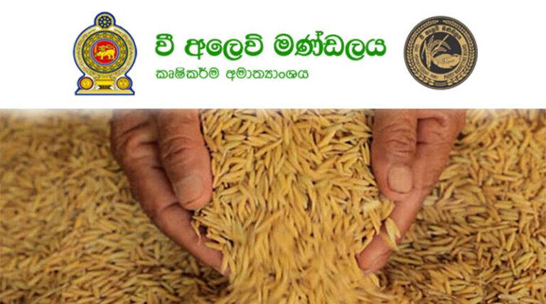 වී අලෙවි මණ්ඩලය වී මිල දී ගෙන, ලාබත් උපයා ණයත් ගෙවයි!