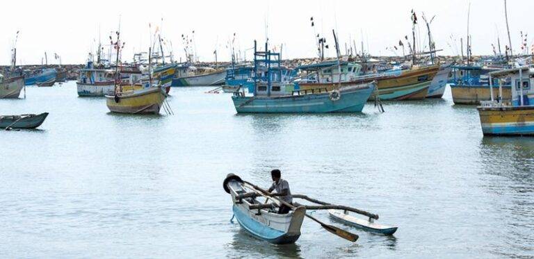‘ධීවර සුව සවිය’ නමින් නව වැඩසටහනක්