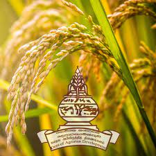 පනත සංශෝධනය කරන තෙක් අක්කර බදු අයකිරීමට තීරණයක්!