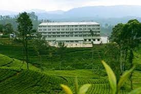 SVAT යටතේ තේ කර්මාන්තශාලා අයිතිකරුවන් ලියාපදිංචි වීම අනිවාර්ය වේ!