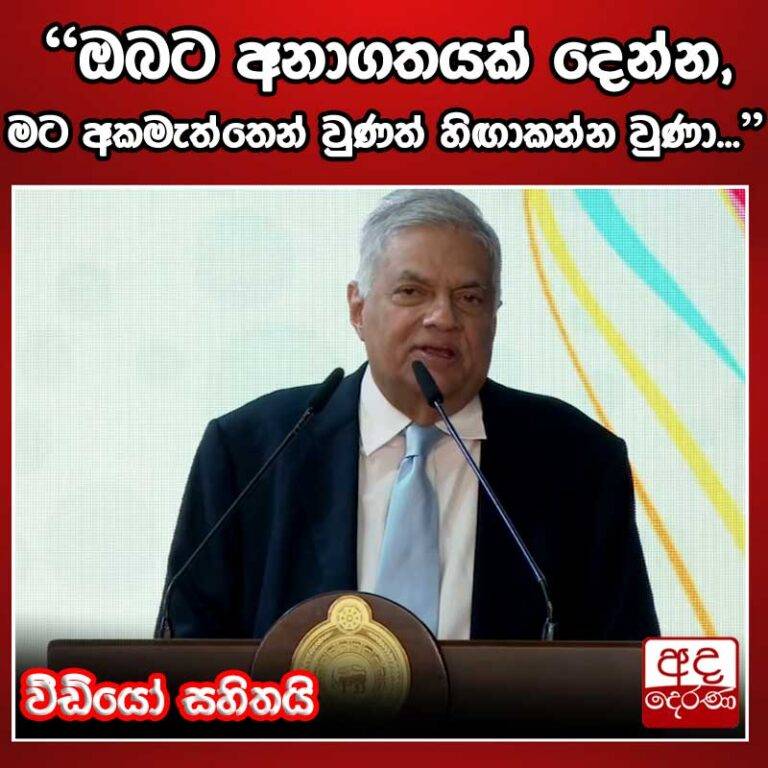 ඔබට අනාගතයක් හදන්න මට ජාත්‍යන්තරය ඉදිරියේ හිඟාකෑමට සිදු වුණා – ජනපති රනිල්