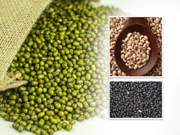 Green-gram