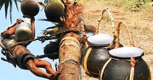 තල් කර්මාන්තයේ නිරත වන්නන්ට වෘත්තිය නිපුණතා සහතිකපතක්