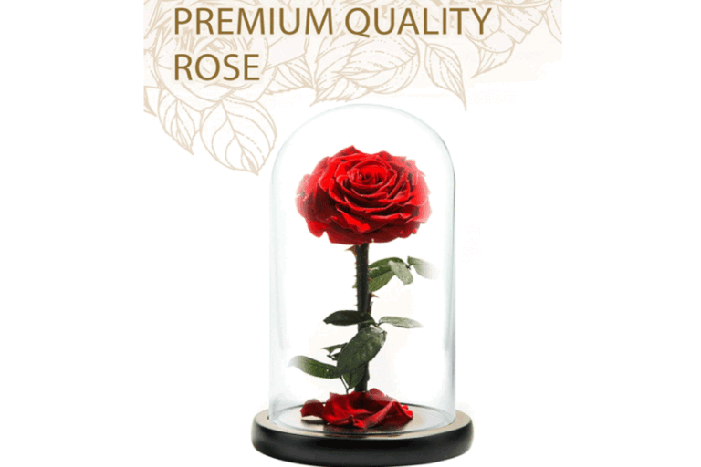 නයිටිංගේල් සහ රතු රෝස මල