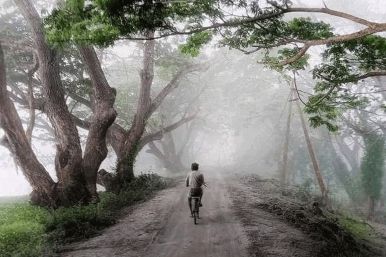 ඇතැම් ප්‍රදේශවලට මීදුම – අද (10) කාලගුණය
