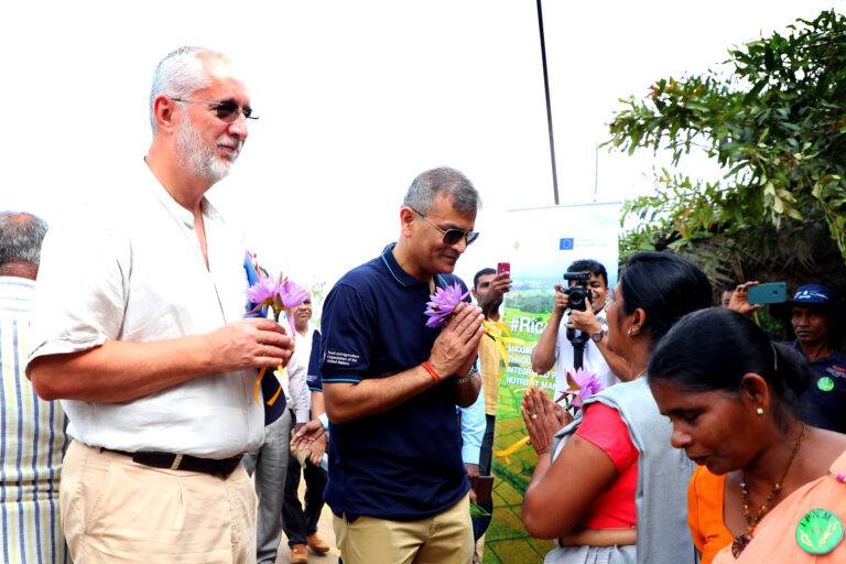 වී වගාවට නව මාවතක් විවර වෙයි!ගොවියන්ටත් ඩිජිටල්කරණ අත්දැකීම්!