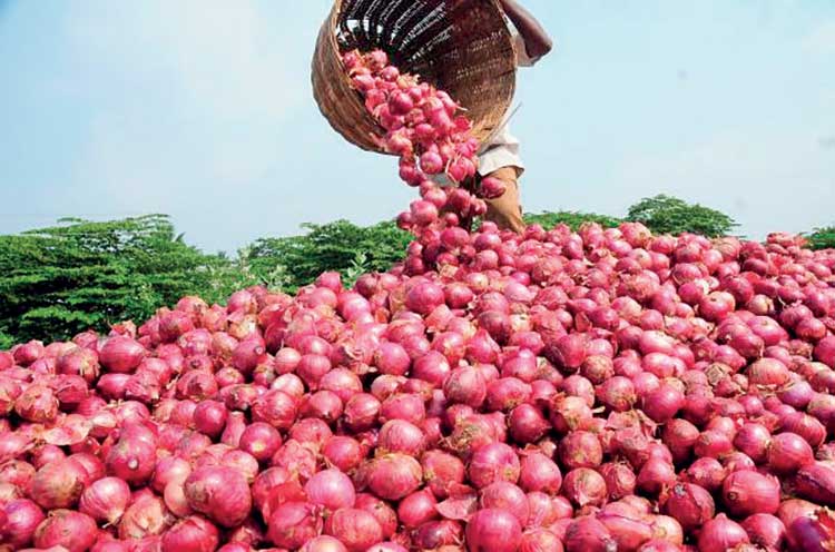 අලුත් අවුරුද්දේ ලොකු ලූනු නැතුව කෑම හදමු!