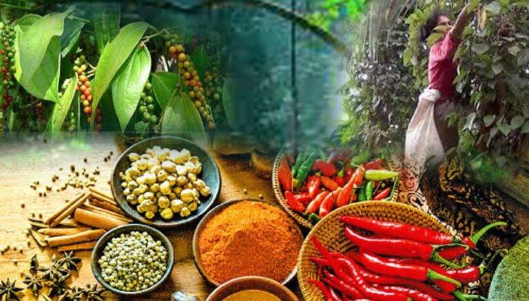 රජය පළ කළ ගැසට්ටුවක් අත්හිටුවයි.