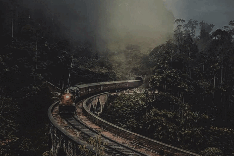 නන්නාඳුනන හඬන්නියකට මගේ උරහිස දුන්නා !