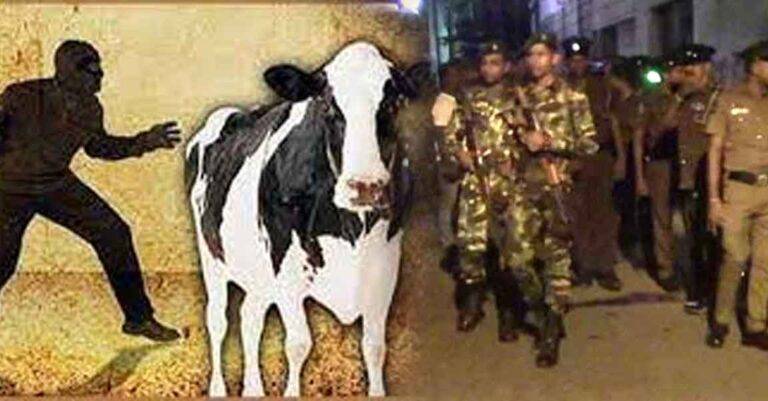 හරක් හොරුන්ට වැඩ වරදී, දඩය ලක්ෂ 10 දක්වා වැඩි වේ!
