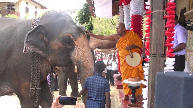 2024.04.15 හිස තෙල් ගැල්වීමේ මධ්‍යම පළාත් උත්සවය ඓතිහාසික නාථ දේවාලයේදී