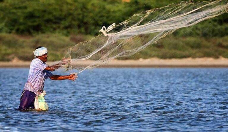 මෙරට  මිරිදිය කර්මාන්තය නගා සිටුවීමට විදෙස් රටවල කැමැත්ත!