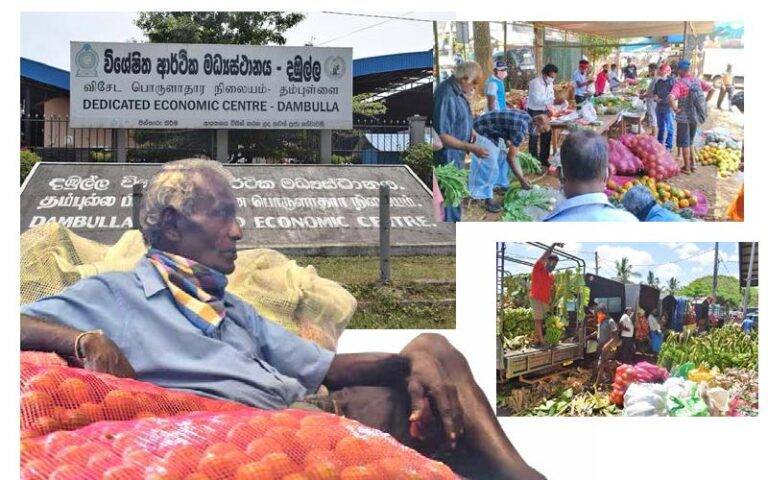 එළවළු මිල සීඝ්‍රයෙන් පහළට!