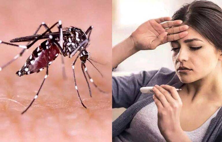 ඩෙංගු රෝගීන් සංඛ්‍යාව 21,000 සීමාව ඉක්මවයි!