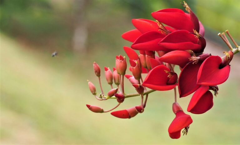 ලන්ඩන් කවි සිව්වන වෙළුම – 2024 අප්‍රේල් කලාපය