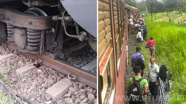 උතුරු දුම්රිය මාර්ගයේ දුම්රිය ධාවනයට බාධා!