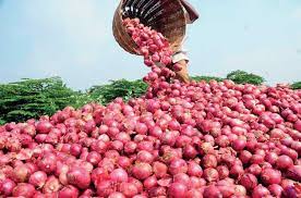 දේශීය ලොකු ළුණු ගොවියා රකින්න ආරක්ෂක රාජ්‍ය ඇමැති පෙරමුණ ගනී!