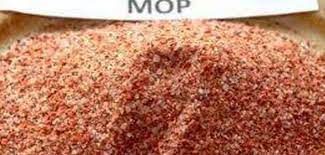 MOP පොහොර ප්‍රවර්ධනයට ගොවියාගේ අතටම මුදල්!