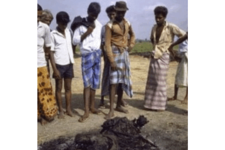 ජ.වි.පෙ. වෙත ….