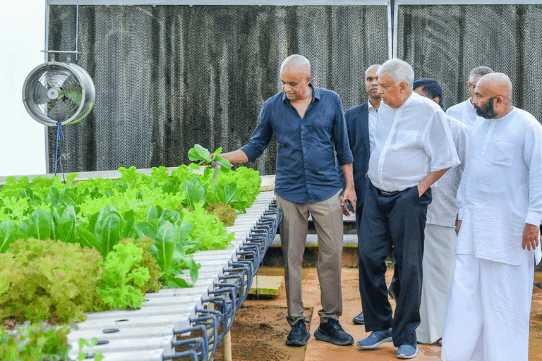 නවීන තාක්ෂණය සමඟ නවීන කෘෂිකර්මාන්තයට සූදානම් පෞද්ගලික ව්‍යවසායකයින්ට රජයේ පූර්ණ සහාය ලබා දෙනවා – ජනපති
