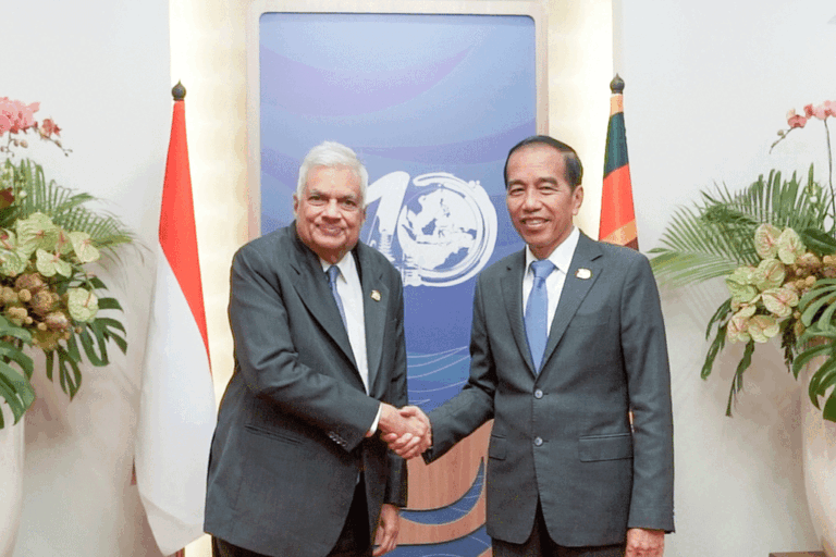 ජනපති රනිල් සහ ඉන්දුනීසියානු ජනපති ජෝකෝ විඩෝඩෝ අතර ද්විපාර්ශ්වික සාකච්ඡා. ආර්ථික සහයෝගීතාව වර්ධනයට අවධානය