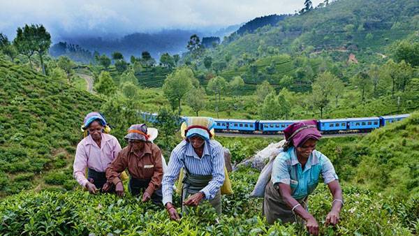 අවම වැටුප ලබා නොදෙන වතු යළි රජයට ගැනීමේ සූදානමක්!