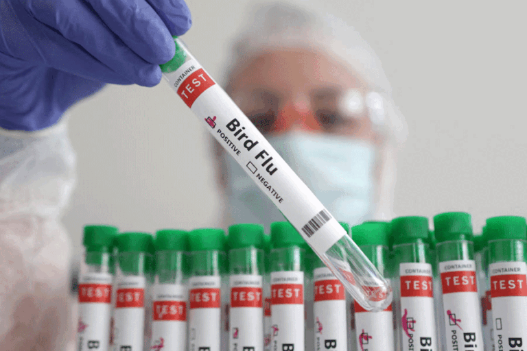 මෙක්සිකෝවේ පළමු කුරුළු උණ මරණය වාර්තා වේ – WHO