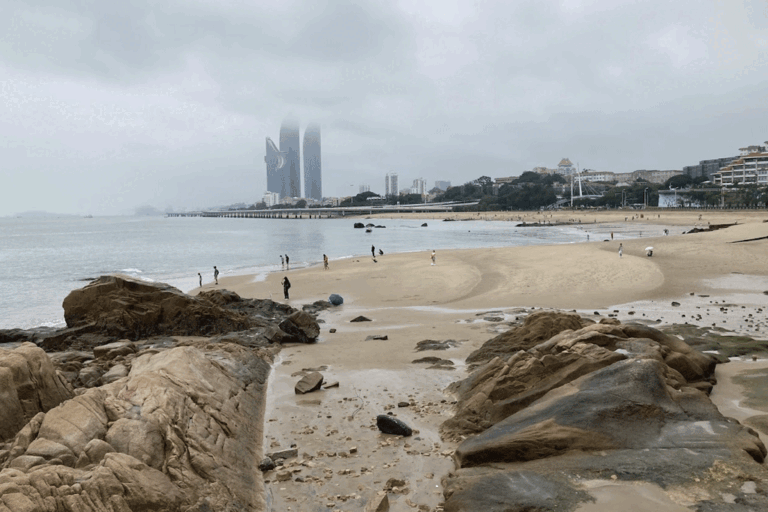 මැද රට විත්ති ….