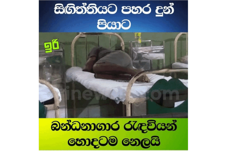 නීතිය වල් වැදුණ සෝමාලියාවක් ….