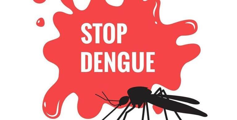බස්නාහිර පළාත වැඩිම ඩෙංගු රෝගීන්ගේ වාර්තාව තබයි!
