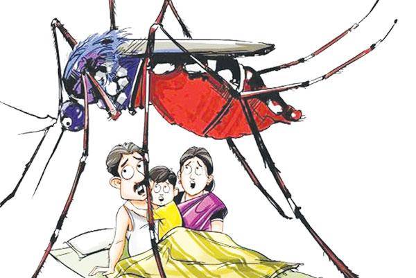 ඩෙංගු තර්ජනය නැවතත්!