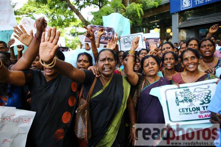 වැඩි කළ වැටුප් ඉල්ලා වතු කම්කරුවෝ උද්ඝෝෂණයේ!