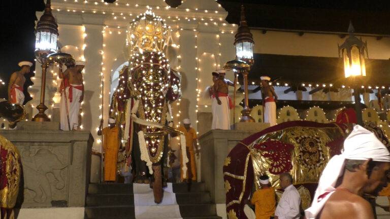 සෙංකඩගලපුර ඇසළ පෙරහැර මංගල්‍යයේ අවසන් රන්දෝලි පෙරහැර අද