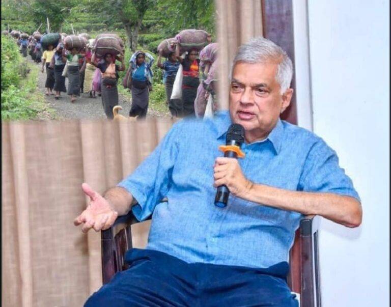 ජනපති රනිල් දිනවන්න වතුකරය පෙළගැසෙයි!