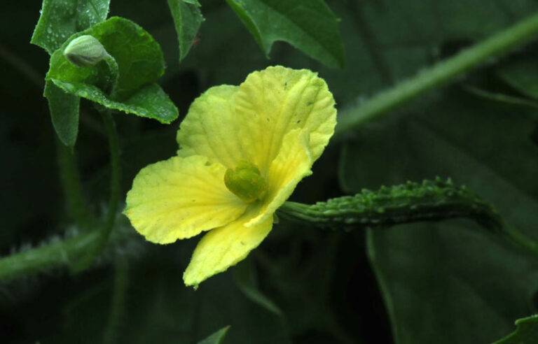 ඉන්න සහ මම ….