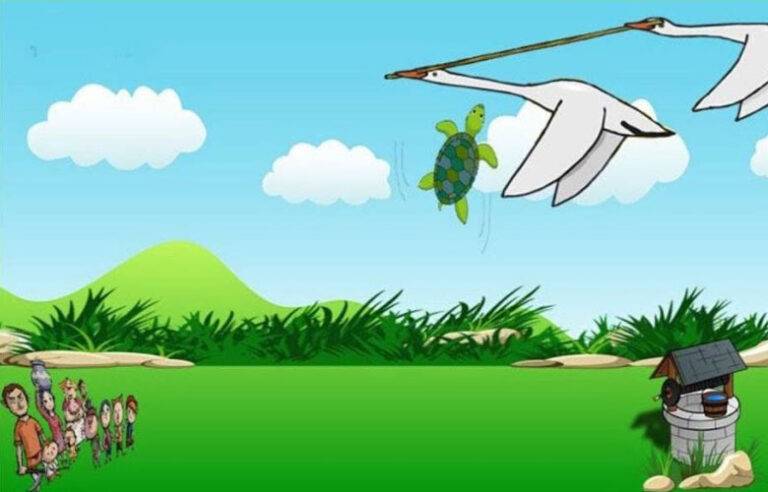 දැක්කද ඉබ්බා …?