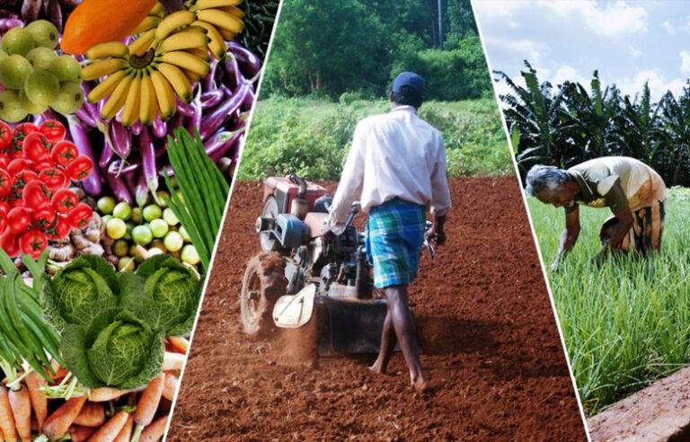 වහාම ක්‍රියාත්මක වන පරිදි සියලුම වගා ණය කපා හැරේ – PMD