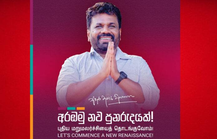 anura-punaruda