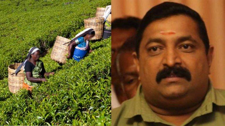 වතුකර ජනතාව ජනපති රනිල්ට කළගුණ සැලකීමට එක මිටකට එක් වී සිටිනවා – වඩිවේල් සුරේෂ්