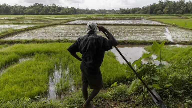 අවශ්‍ය මොහොතේ පොහොර සහනාධාරය නොලැබුණොත් වෙනදේ
