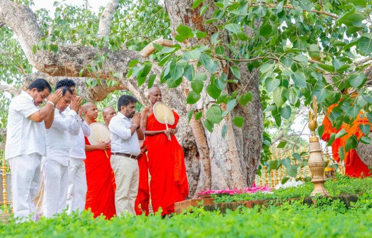 සිස්ටම් ඕවර්ඩෝස් යාම ….