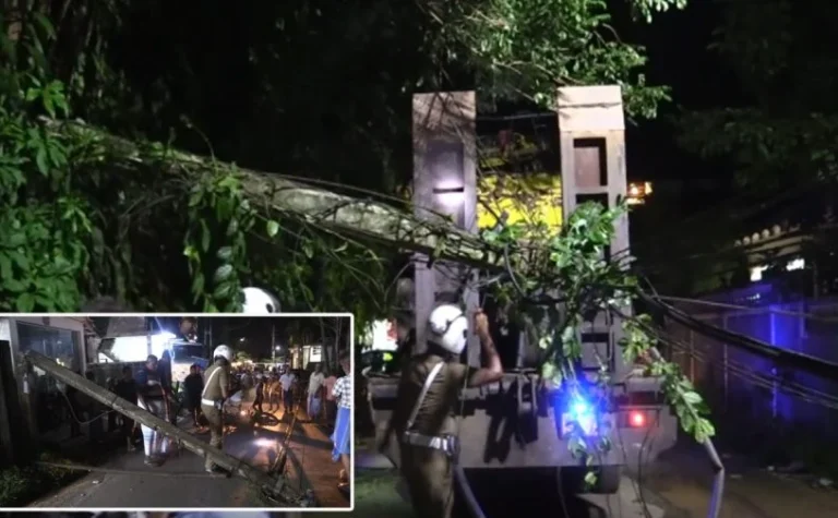 බණ්ඩාරගම, අටලුගම ප්‍රදේශයේදී රිය අනතුරකින් දුරකථන කණු රැසකට හානි!