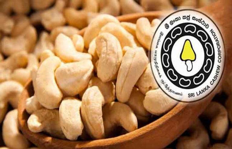 කජු කන්න ගිය ඇත්ත වියදම කීයද ?