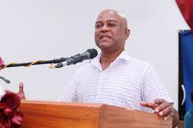 වැඩ බැරි අය පාර්ලිමේන්තු එවන්න එපා – මධුර විතානගේ