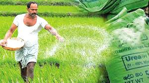 පොහොර සහනාධාරය දීමට ගැටලුවක් නෑ – කෘෂිකර්ම අමාත්‍යාංශයේ ලේකම්