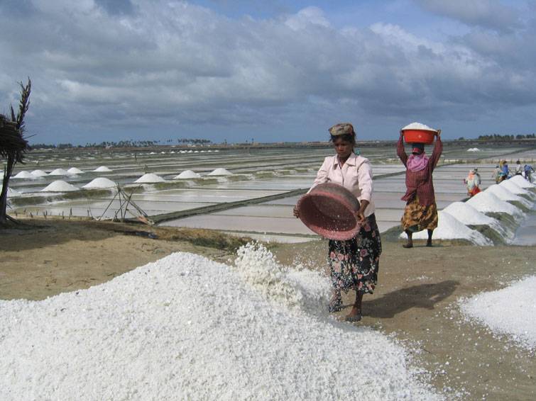 ඇත්තටම ලුණු හිඟයිද ?