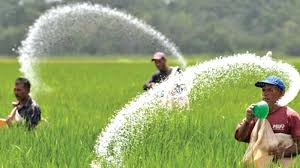රුසියන් පොහොරවල ප්‍රශ්නයක් නැහැ.කෘෂිකර්ම අමාත්‍යාංශය තහවුරු කරයි!